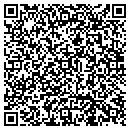 QR code with Professional System contacts
