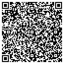 QR code with Pysch Digital Inc contacts