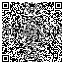 QR code with Carl Rustin Painting contacts