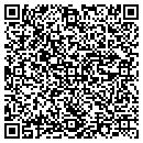 QR code with Borgers Roofing Inc contacts