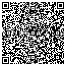 QR code with Public Fax Center contacts