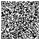 QR code with Professional Engineer contacts
