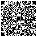 QR code with Pyr Consulting Inc contacts