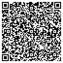 QR code with Carpet Gallery Inc contacts
