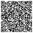 QR code with Cobra Sweeping System contacts