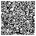 QR code with Willows contacts