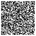 QR code with Alltel contacts