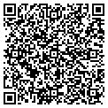 QR code with Cupids contacts