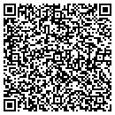 QR code with Cesk Analytics Inc contacts