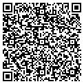 QR code with AMS contacts