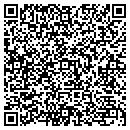 QR code with Purses & Things contacts