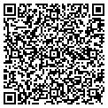 QR code with Bistro contacts