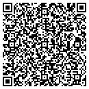 QR code with Custom Travel Service contacts