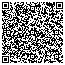 QR code with Public Storage contacts
