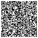 QR code with Publix contacts