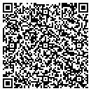 QR code with Cluster Technology contacts