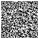 QR code with Premier Yarn Dyers contacts