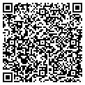 QR code with M Vr contacts