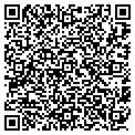 QR code with Tecavo contacts