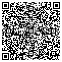 QR code with Newman contacts