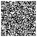QR code with City Auto Rental Inc contacts