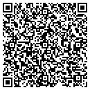 QR code with Precision Auto Sales contacts