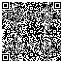 QR code with Carpet Store The contacts