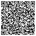 QR code with AMF contacts