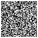 QR code with Publix contacts