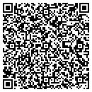 QR code with Pro Tech Auto contacts