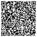 QR code with Wingo contacts