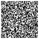 QR code with Public Service Cellular contacts