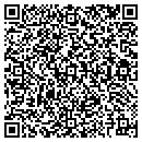 QR code with Custom Travel Service contacts