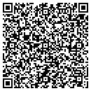 QR code with Public Storage contacts
