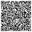 QR code with Profero Systems Inc contacts