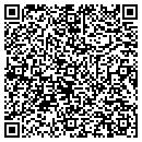 QR code with Publix contacts