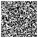 QR code with Collins Search Group contacts