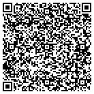 QR code with Pumping Systems Inc contacts