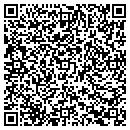 QR code with Pulaski Tire & Auto contacts