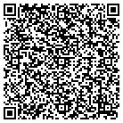 QR code with Blimpie Subs & Salads contacts