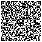 QR code with Public Works Engineering contacts