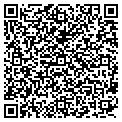 QR code with Viscom contacts