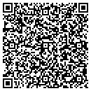 QR code with Pro Auto Group Inc contacts