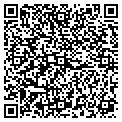 QR code with Synex contacts
