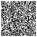 QR code with Protelligent contacts