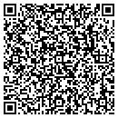 QR code with Brice Limited contacts