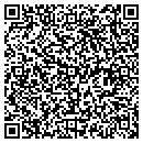 QR code with Pull-A-Part contacts