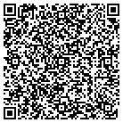 QR code with Chinto S Sons Const Inc contacts
