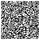 QR code with Professional Restorations contacts