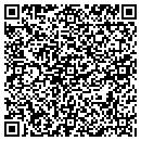 QR code with Borealis Brewery The contacts